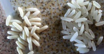 Cum de a determina calitatea orezului - util să știu