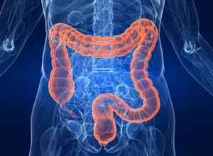 Cum se identifică aderențele la nivelul intestinelor - bolile intestinale -if () - endif - catalogul articolelor - proctologia