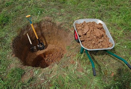 Cum să plantezi un măr în primăvară, vară și toamnă în Siberia și Urali