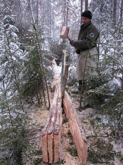 Cum de a construi o ședere de iarnă în taiga