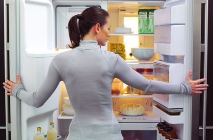 Hogyan működik a hűtőszekrény, az alapvető szabályokat