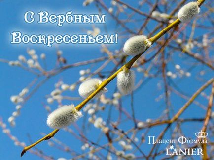 Як правильно зустрічати вербну неділю