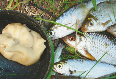 Як приготувати тісто для риболовлі на плотву
