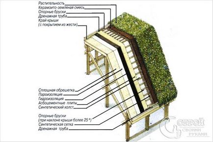 Cum de a face un gazon pe acoperiș - cum să verde un acoperiș