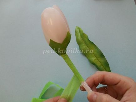 Як зробити тюльпан, букет тюльпанів з пластикових ложок