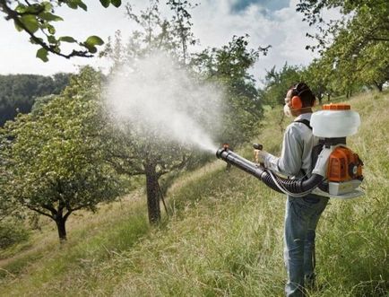 Cum să ai grijă de arbori în primăvară - ghiduri pentru începători ~