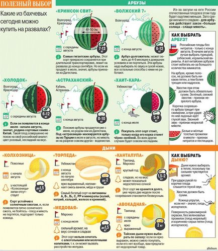 Cum de a alege pepene verde corecte și dulce