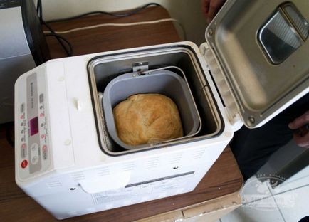 Hogyan válasszuk ki a kenyérsütő tanácsot és útmutatást otthon (válasszon) Hogyan válasszuk ki a kenyérsütő otthoni tippek és trükkök