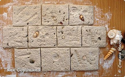 Coquina kő, saját kezűleg (belső) Coquina kő, saját kezűleg
