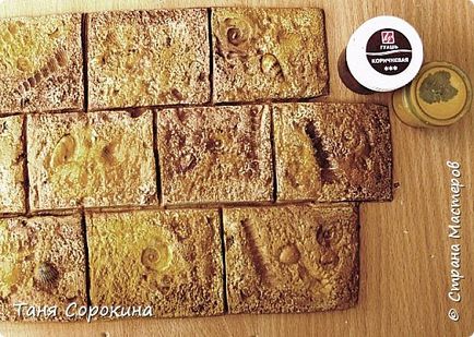 Coquina kő, saját kezűleg (modellezés) Coquina kő, saját kezűleg
