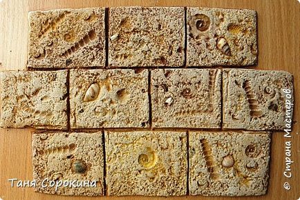 Coquina kő, saját kezűleg (jó hangulat) Coquina kő, saját kezűleg