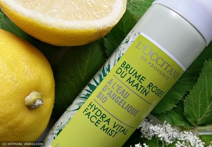 Pocket Assistant a hő hidratáló tonik-spray a szembe Angelica A L'Occitane (Mist) Pocket Assistant a hő hidratáló tonik-spray a szembe Angelica A L'Occitane