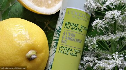 Pocket Assistant a hő hidratáló tonik-spray a szembe Angelica A L'Occitane (hidratáló arctonik) Pocket Assistant a hő hidratáló tonik-spray a szembe Angelica A L'Occitane