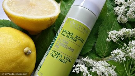 Pocket Assistant a hő hidratáló tonik-spray a szembe Angelica A L'Occitane (tónusos) Pocket Assistant a hő hidratáló tonik-spray a szembe Angelica A L'Occitane
