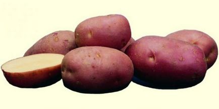 Hostess de cartofi Descrierea soiului, caracteristicile, demnitățile, calendarul și regulile de plantare,