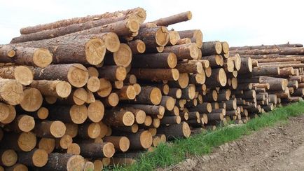 Fiecare rus, conform legii, are dreptul la 150 de cuburi de lemn gratuit - un parteneriat horticol