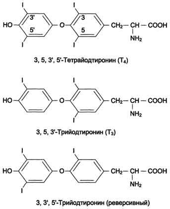 Clasificarea hormonilor prin structura chimică - stadopedia