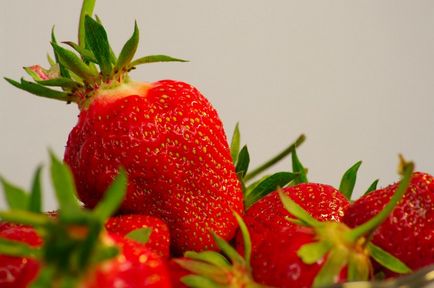 Strawberry Cleri Descrierea soiului, foto, recenzii