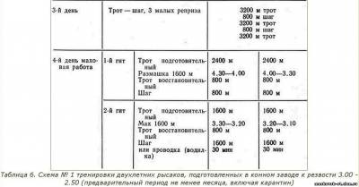 Книга тренінг і випробування рисаків - (читати