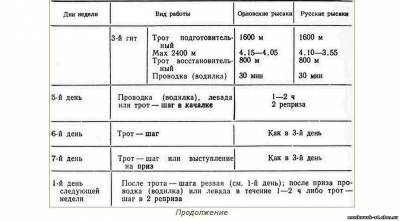 Книга тренінг і випробування рисаків - (читати