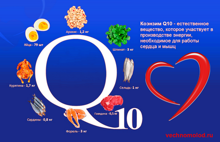 Coenzima q10, beneficiază de prelungirea vieții și de menținerea sănătății