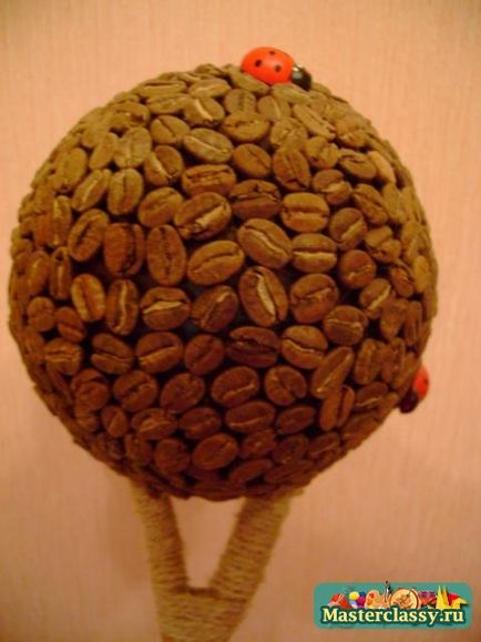 Arborele de cafea cu mâinile proprii