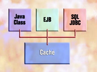 Componentele cache-cache-java