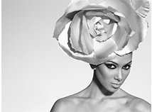 dzinatrs kozmetikum (haj) Hair Cosmetics dzinatrs