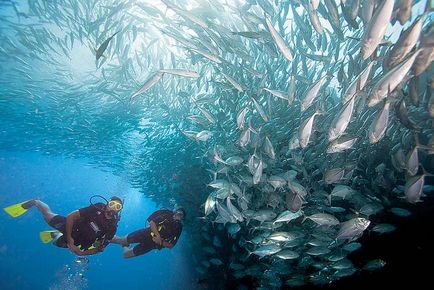 Ko Tao - сами по себе си, плажовете на Кох Тао, гмуркане на Кох Тао, loveyouplanet