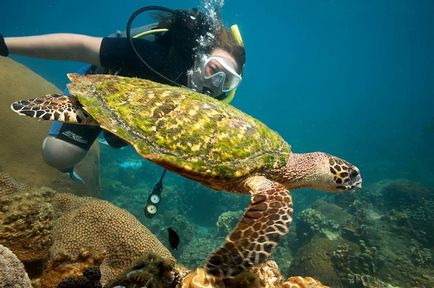 Ko Tao - independent, plajele din Ko Tao, scufundări pe tao, loveyouplanet