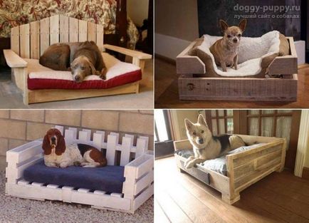 Ágy kutyáknak 50 ötletet fotókkal és a legérdekesebb lehetőség