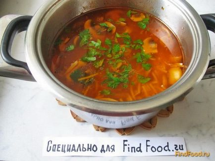 Supă de pui cu vermicelli și rețetă de roșii cu o fotografie