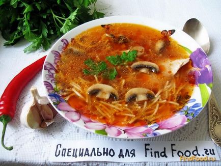 Supă de pui cu vermicelli și rețetă de roșii cu o fotografie