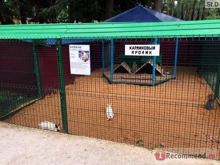 Липецький зоопарк, липецк - «липецкий зоопарк 2017 ціна на відвідування і режим роботи