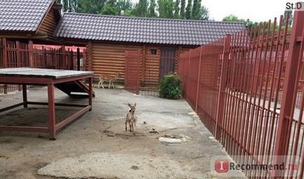 Zoo Lipetsk, Lipetsk - 