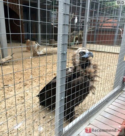 Lipetsk Állatkert - Lipetsk „Lipetsk Állatkert 2017-ben az ár a látogatás és működési mód
