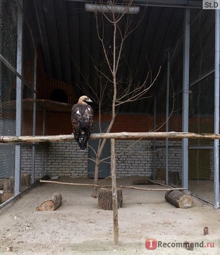 Zoo Lipetsk, Lipetsk - 