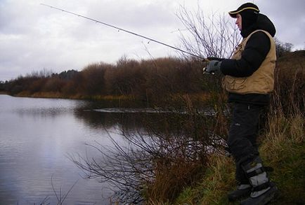 Ловля карася восени правила риболовлі з урахуванням змін поеведнія