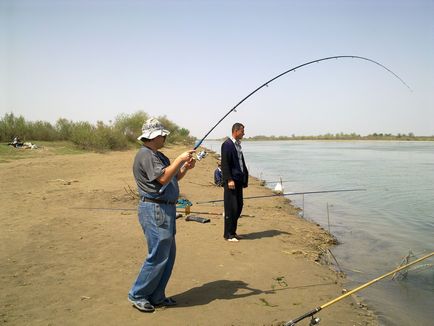 Capturarea crapului în curent