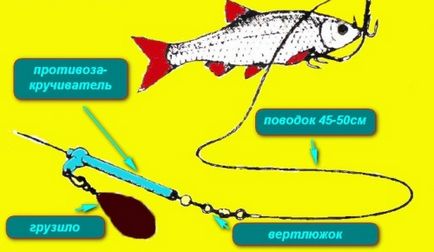 Ловля судака на живця з берега оснащення на хижака