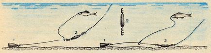 Ловля судака на живця з берега оснащення на хижака
