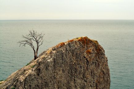 Місця дикого відпочинку в криму, життя жо