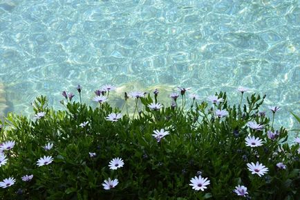 Helyezzük a földön Hierapolis és Pamukkale (Törökország), átadva