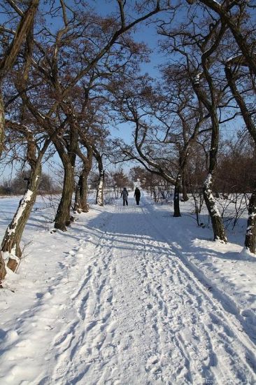 Mănăstirea Mgarsky (Lubny - obiective turistice, ce să vezi, locuri interesante)