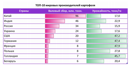 Світовий ринок картоплі - мніап