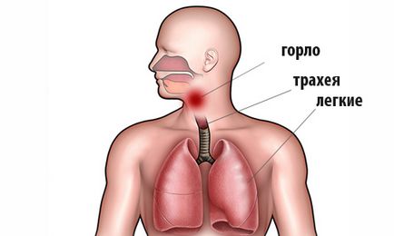 Мляко с мед кашлица прости рецепти и полезни свойства