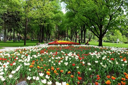 Kremlin Kremlin Tainitsky Garden și noul parc din mai