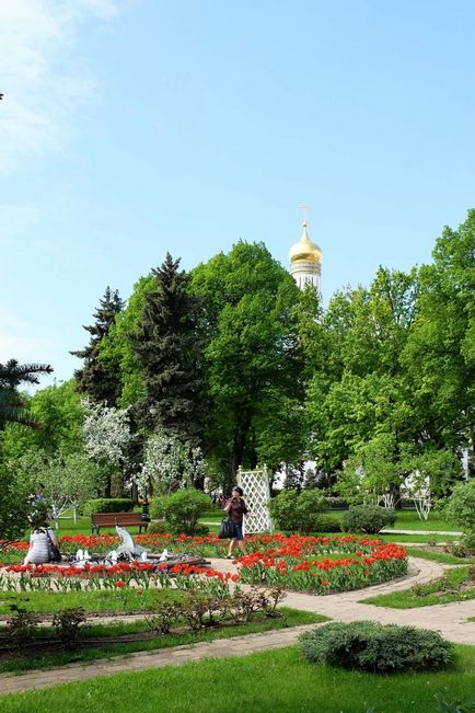 Московський кремль Тайницкая сад і новий парк в травні