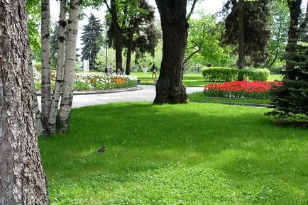 Kremlin Kremlin Tainitsky Garden și noul parc din mai