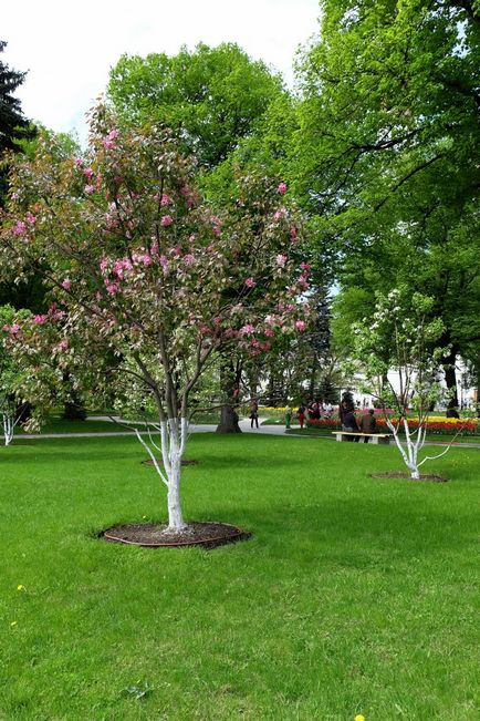 Kremlin Kremlin Tainitsky Garden și noul parc din mai